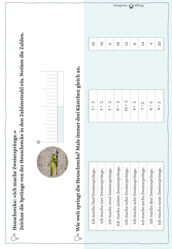 Malrechnen am Zahlenstrahl