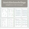 product_592_image_0_6772c9b96c022.jpg Streichholzmehrlinge - Aufgabenset