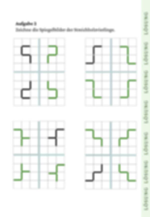 product_592_image_4_blurred_6772c9c04cdcc.jpg Streichholzmehrlinge - Aufgabenset